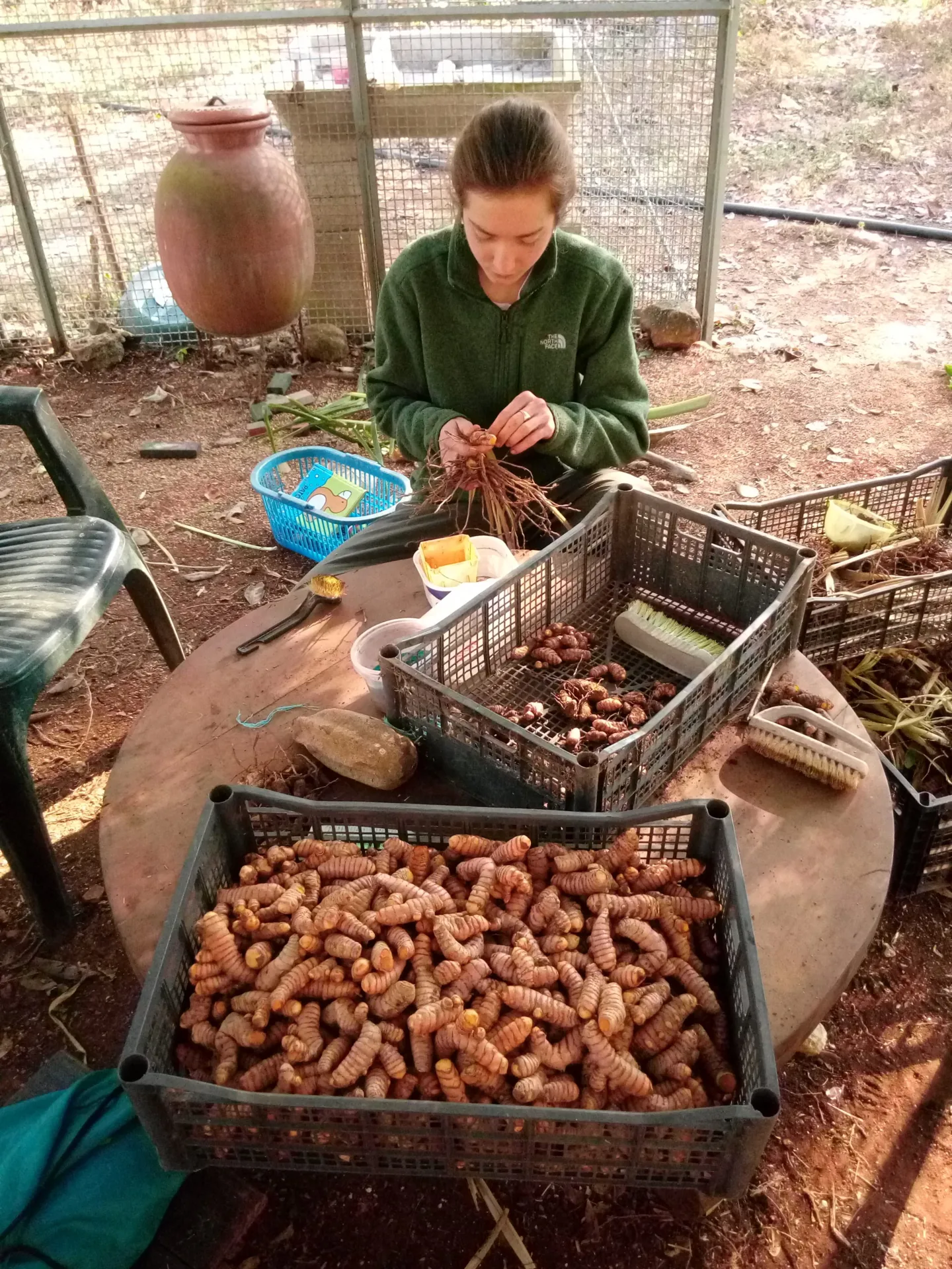 Una persona trabaja con frutos y herramientas sobre una mesa.