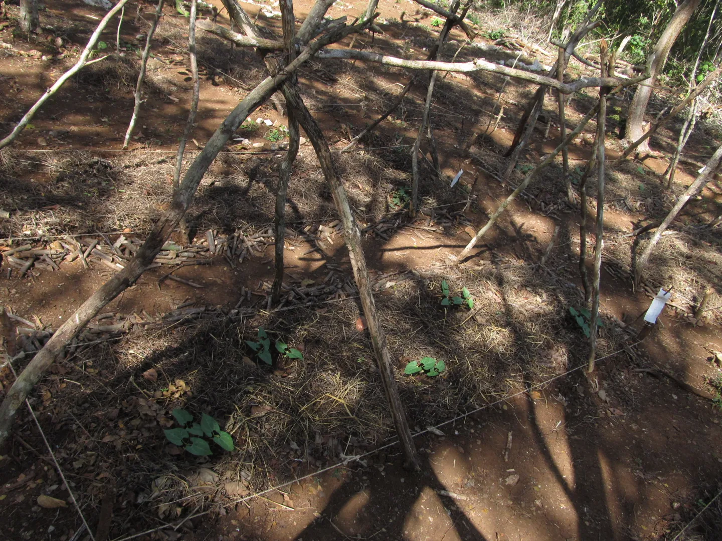 Suelo y vegetación del entorno de la reserva.
