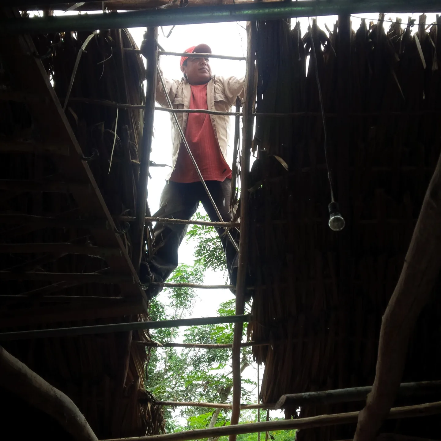 Trabajo en la estructura de una construcción de la reserva.